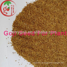 Goji Farm liefern hohe Quailty Goji Beeren Samen / NQ-01